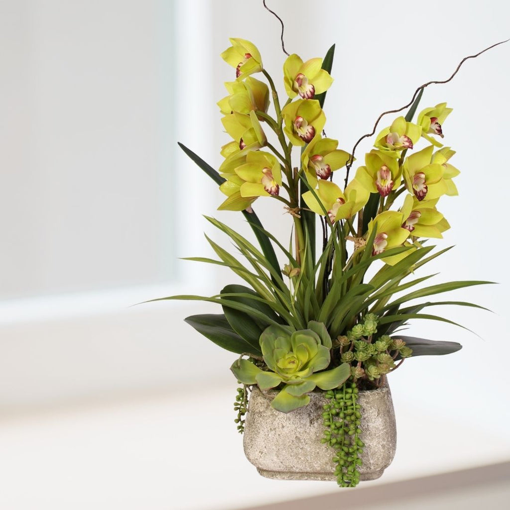 Real Touch White Cymbidium Orchids with Artificial Succulents in