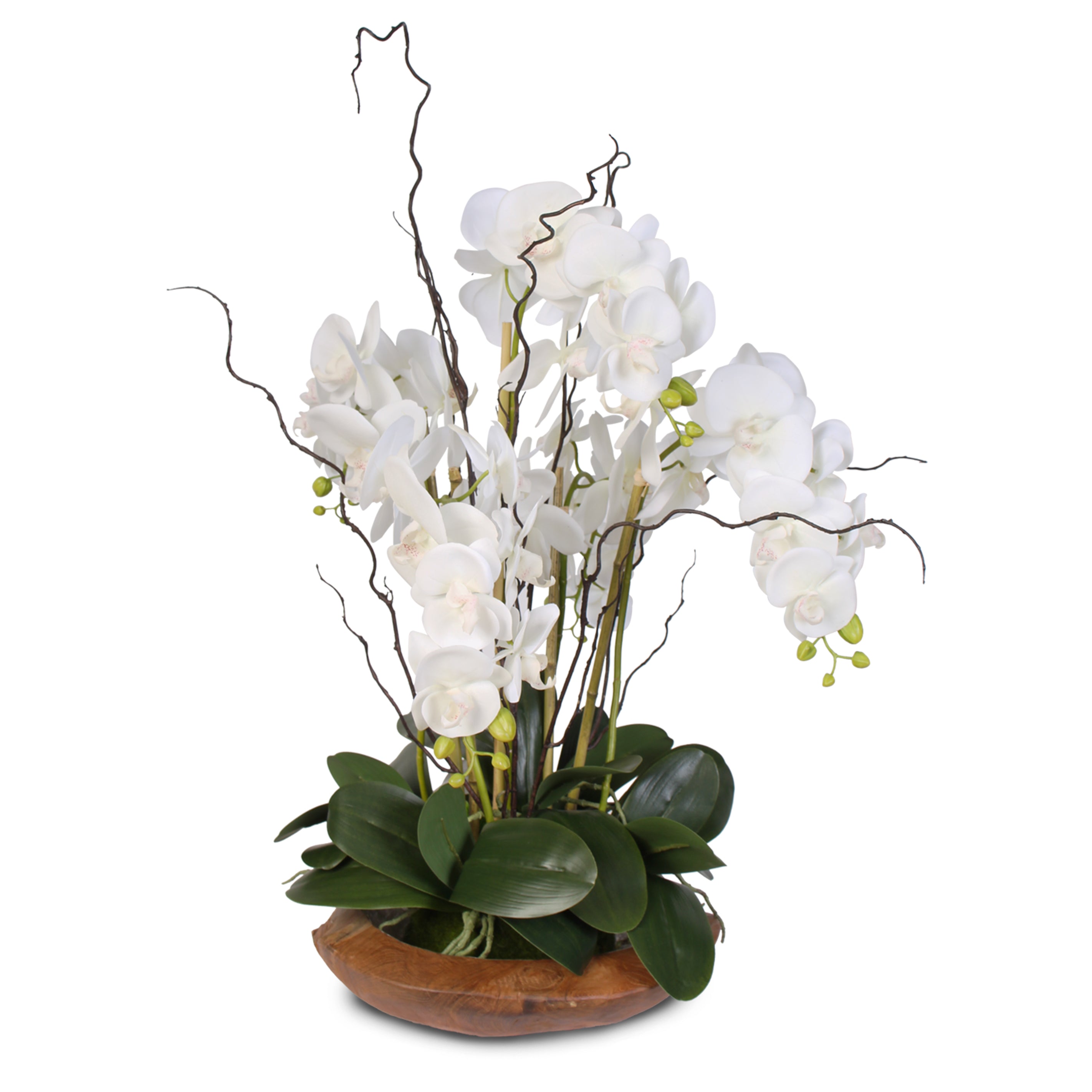 Real Touch 5 Stem Phalaenopsis Silk Orchids In A Natural Teak Bowl 59 Jenny Silks 2910