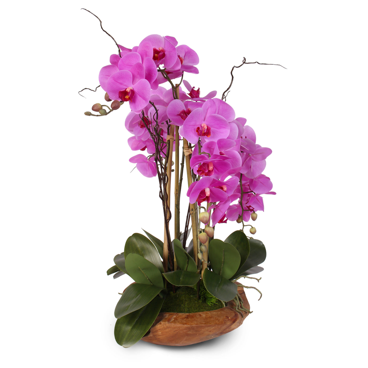 Real Touch 5 Stem Phalaenopsis Silk Orchids In A Natural Teakwood Bowl Jenny Silks 6048