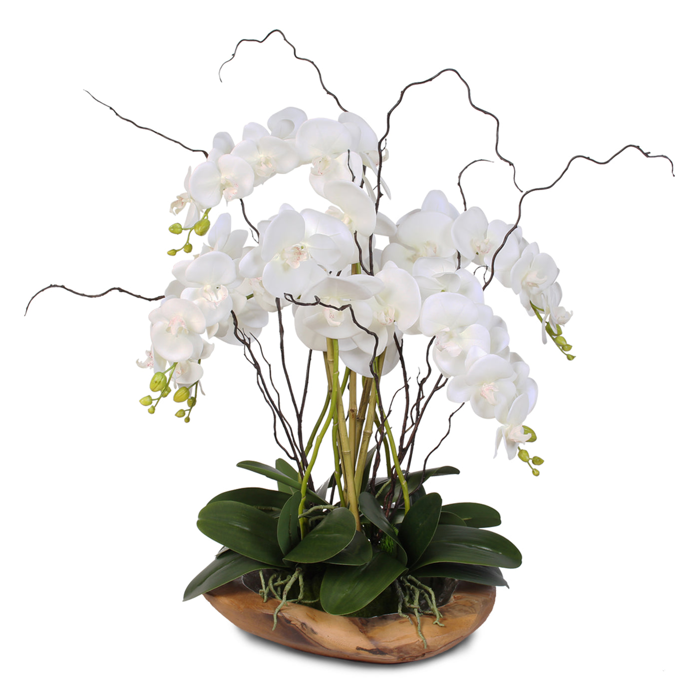 Real Touch 5 Stem Phalaenopsis Silk Orchids In A Natural Teak Bowl 59 Jenny Silks 0593