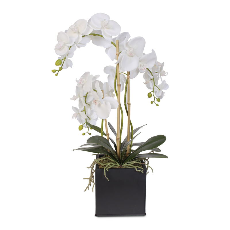 Real Touch Triple-Stem Phalaenopsis Silk Orchid in a Metal Container ...
