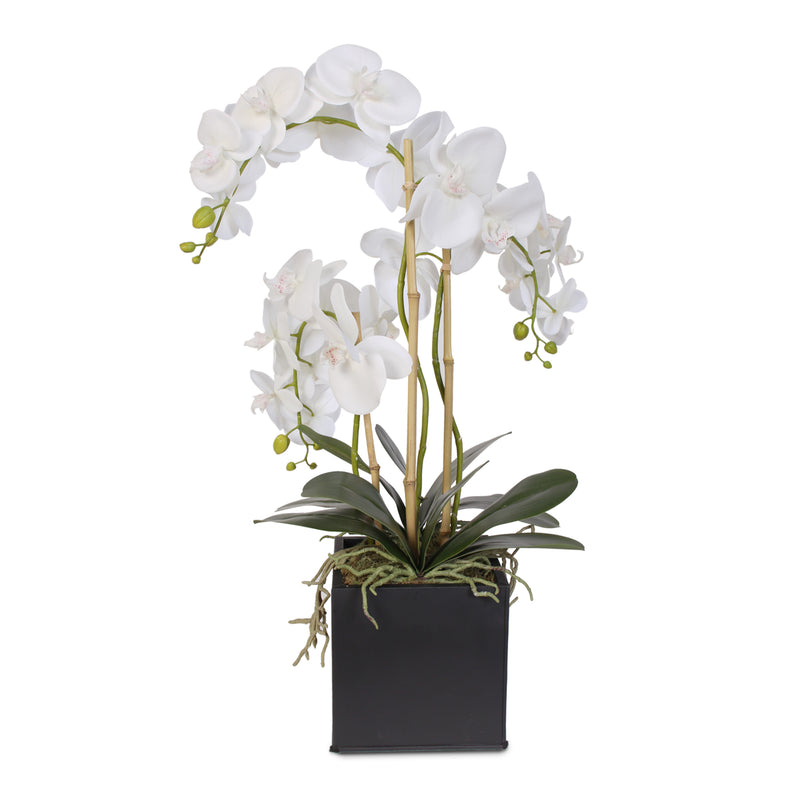 Real Touch Triple Stem Phalaenopsis Silk Orchid In A Metal Container Jenny Silks 6979