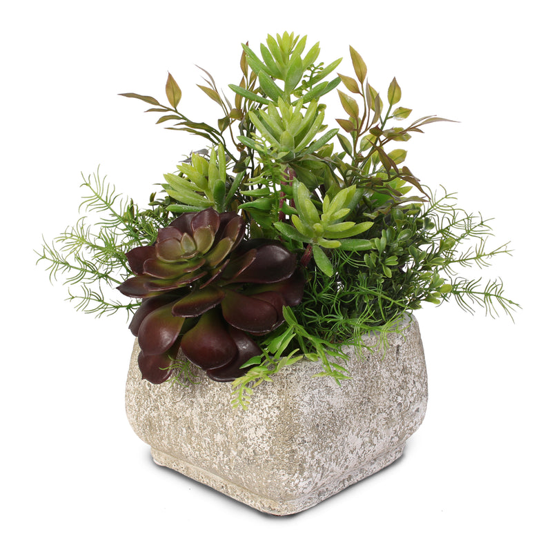 Jenny Silks Artificial Green and Brown Succulents Arrangement in a Squ