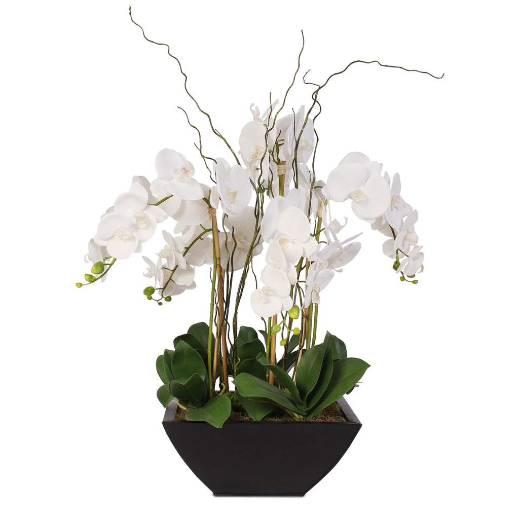 Real Touch Orchids and Leaves in Black Metal Zinc Pot #F-37 – Jenny Silks