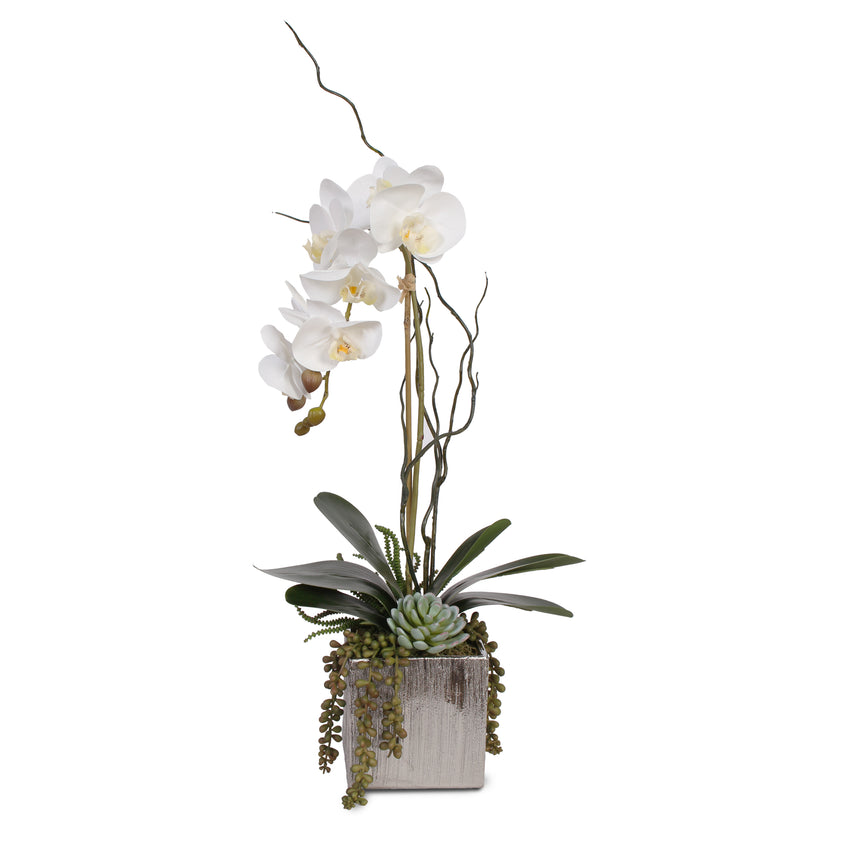 Real Touch White Phalaenopsis Orchid with Succulents in Silver Ceramic ...