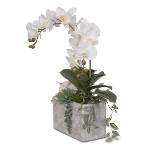 Jenny Silks Real Touch Cream White Phalaenopsis Orchid with Seashells Artificial Arrangement in Rectangle Stone Wash Pot #F-72