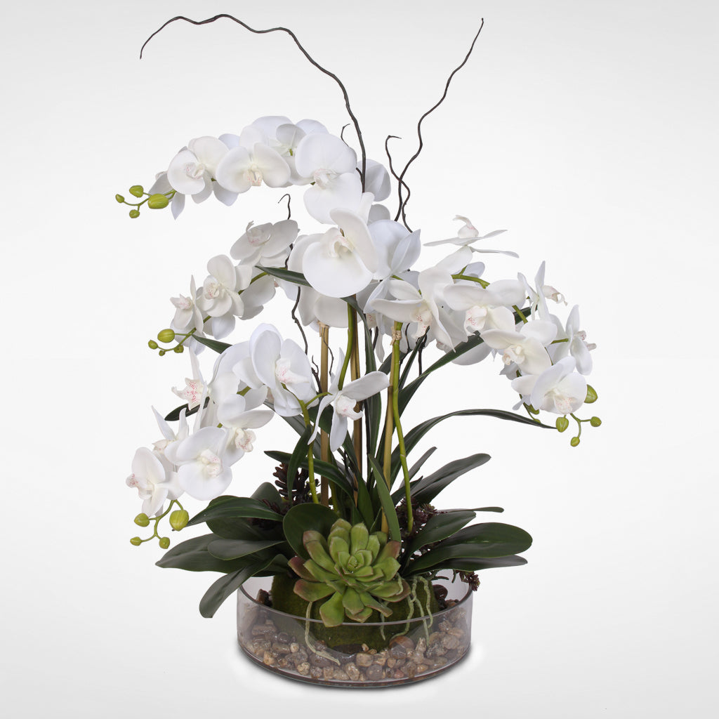 Real Touch White Phalaenopsis Orchid With Succulents And Natural Rocks Jenny Silks 4476