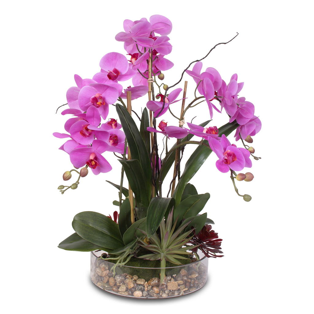 Real Touch Purple Phalaenopsis Orchid with Succulents and Natural Rock ...
