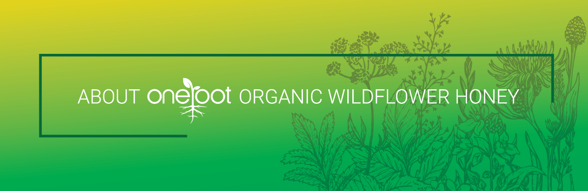 Oneroot organic jar of Organic Ginseng Honey - Buy Organic Raw Honey online in Canada.