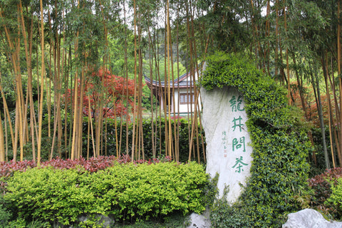 West Lake dragon well temple