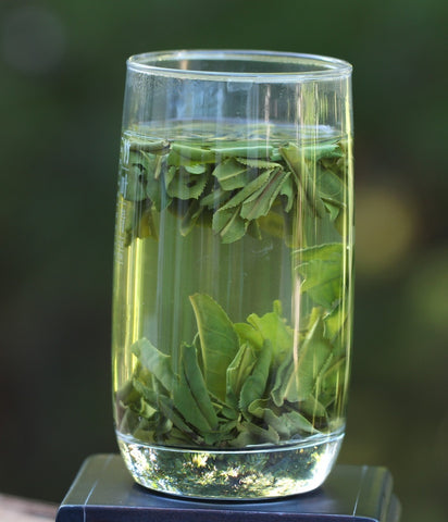 how to brew liu an gua pian green tea