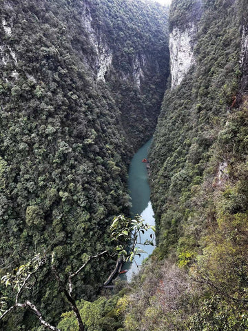 Enshi Jade Dew mountain