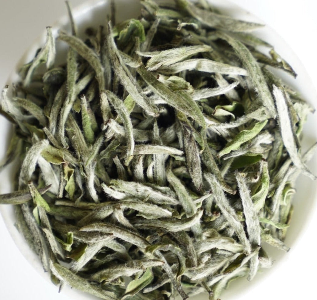 2023 Fuding Silver Needles White Tea Bai Hao Yin Zhen