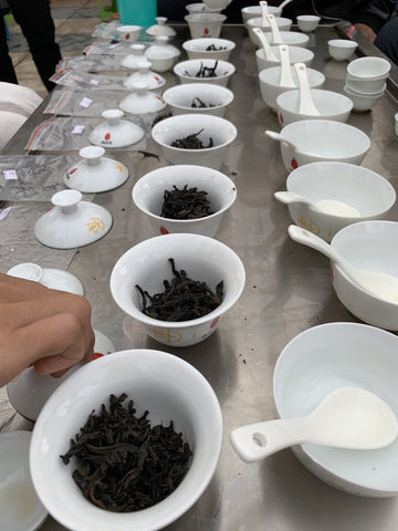 Wuyi rock oolong tea tasting