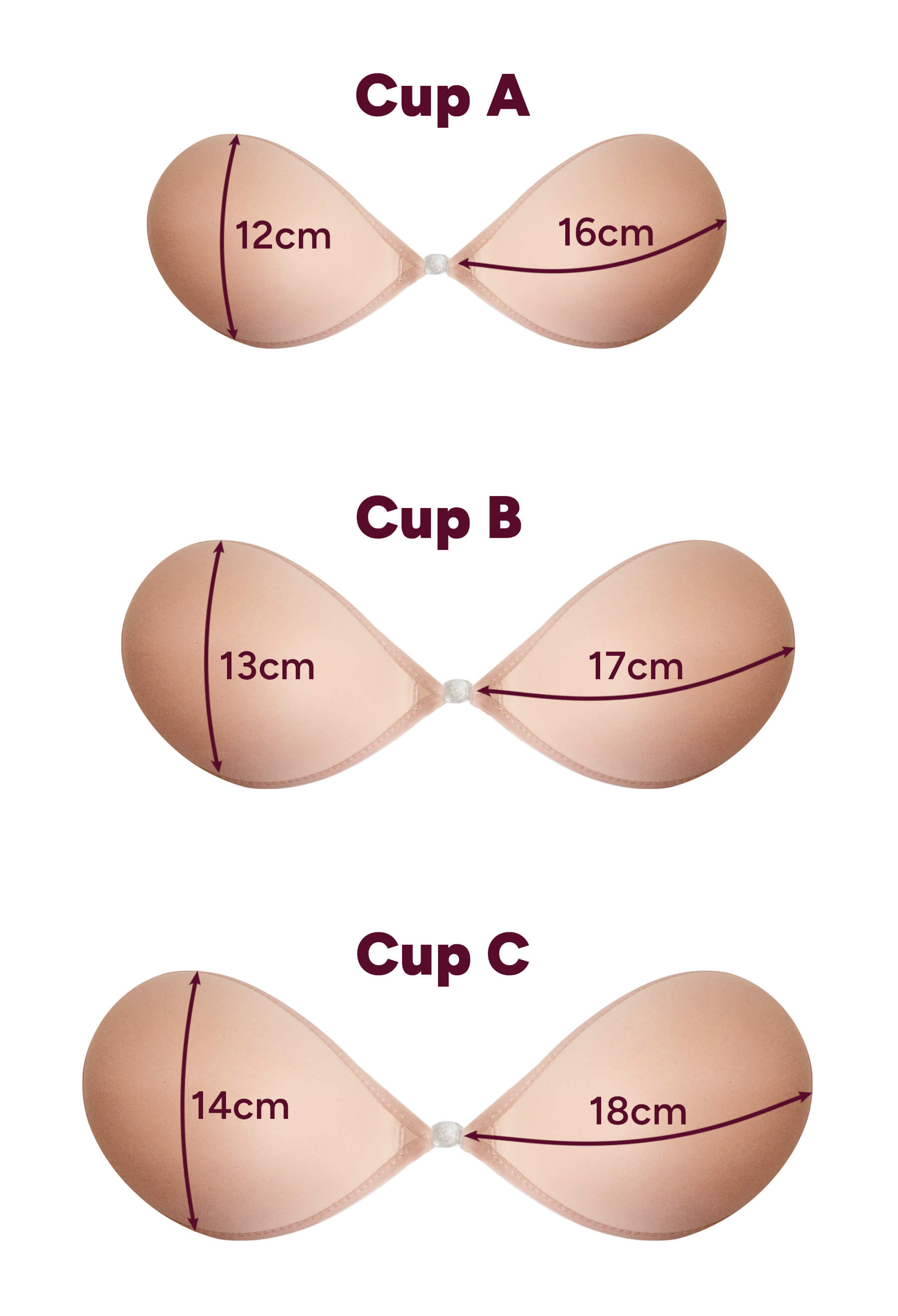 normal b cup bra