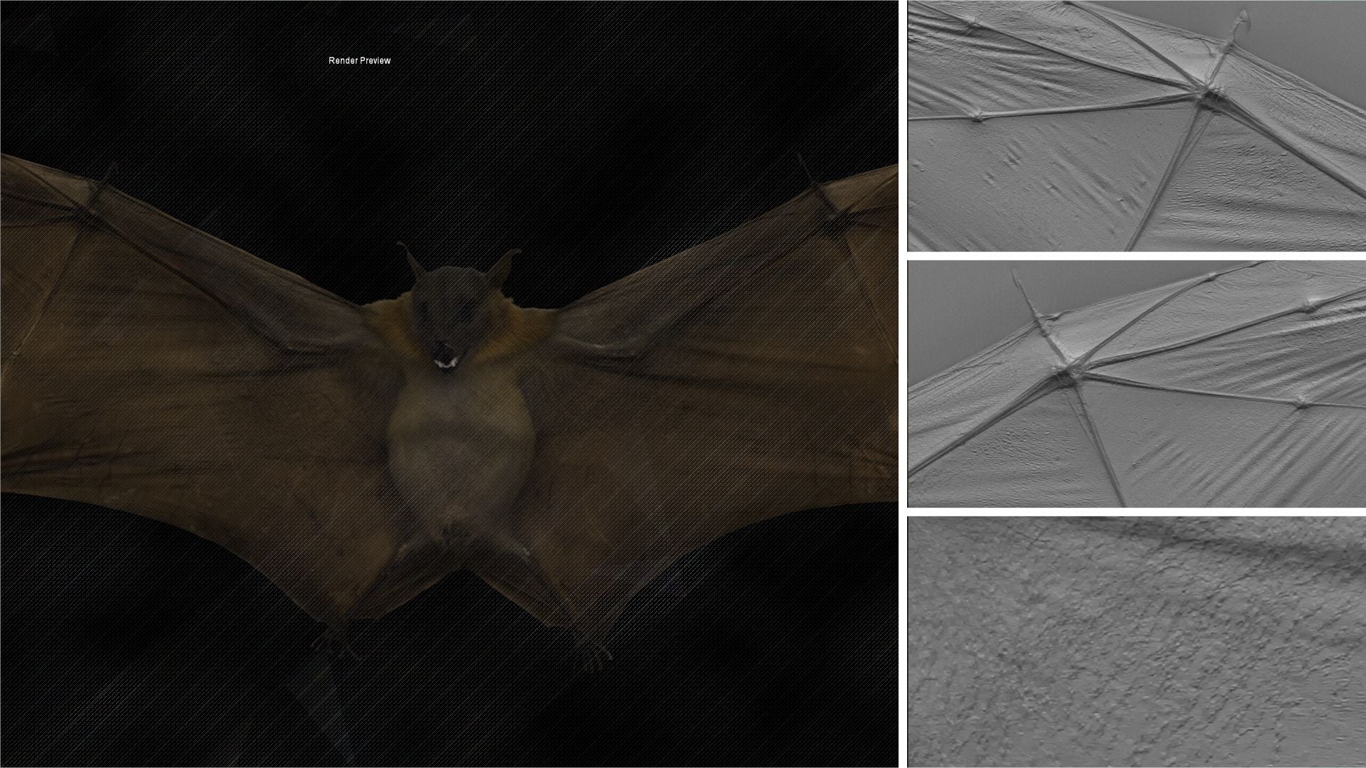 Bat #01 – Texturing.xyz
