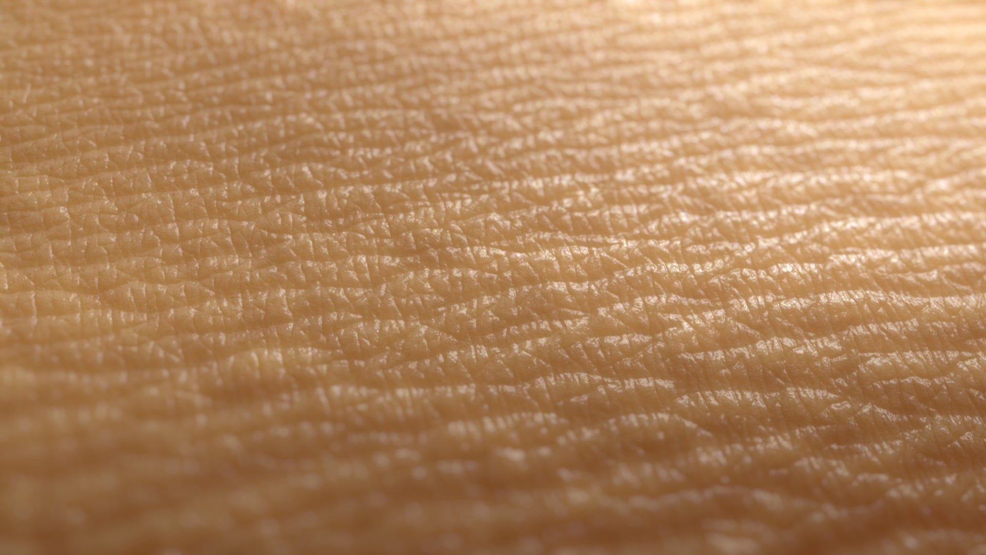 MicroSkin Arm #08