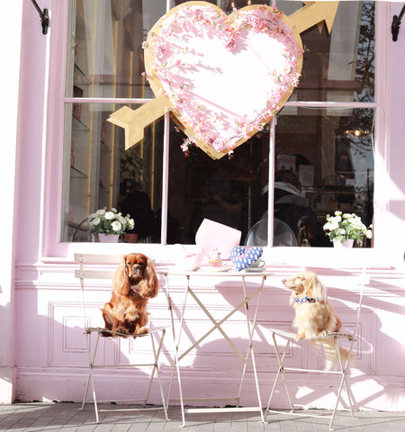 Dog Friendly Peggy Porschen 