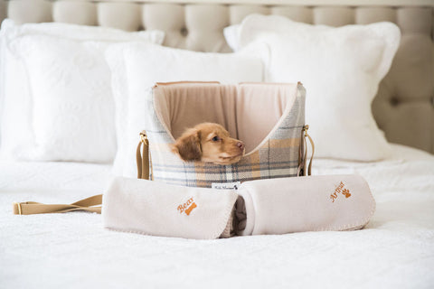 puppy dog carrier with dachshund inside