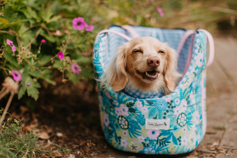 carry bags for dogs