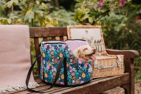 A great dog carrier for summer 