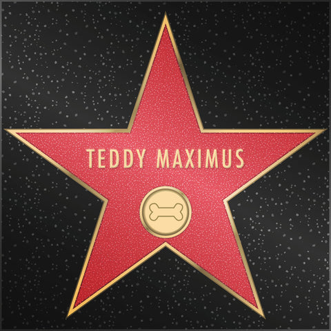 Teddy Maximus en los Angeles