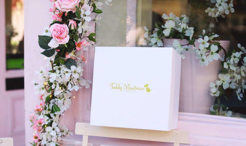 Teddy Maximus Gift Box