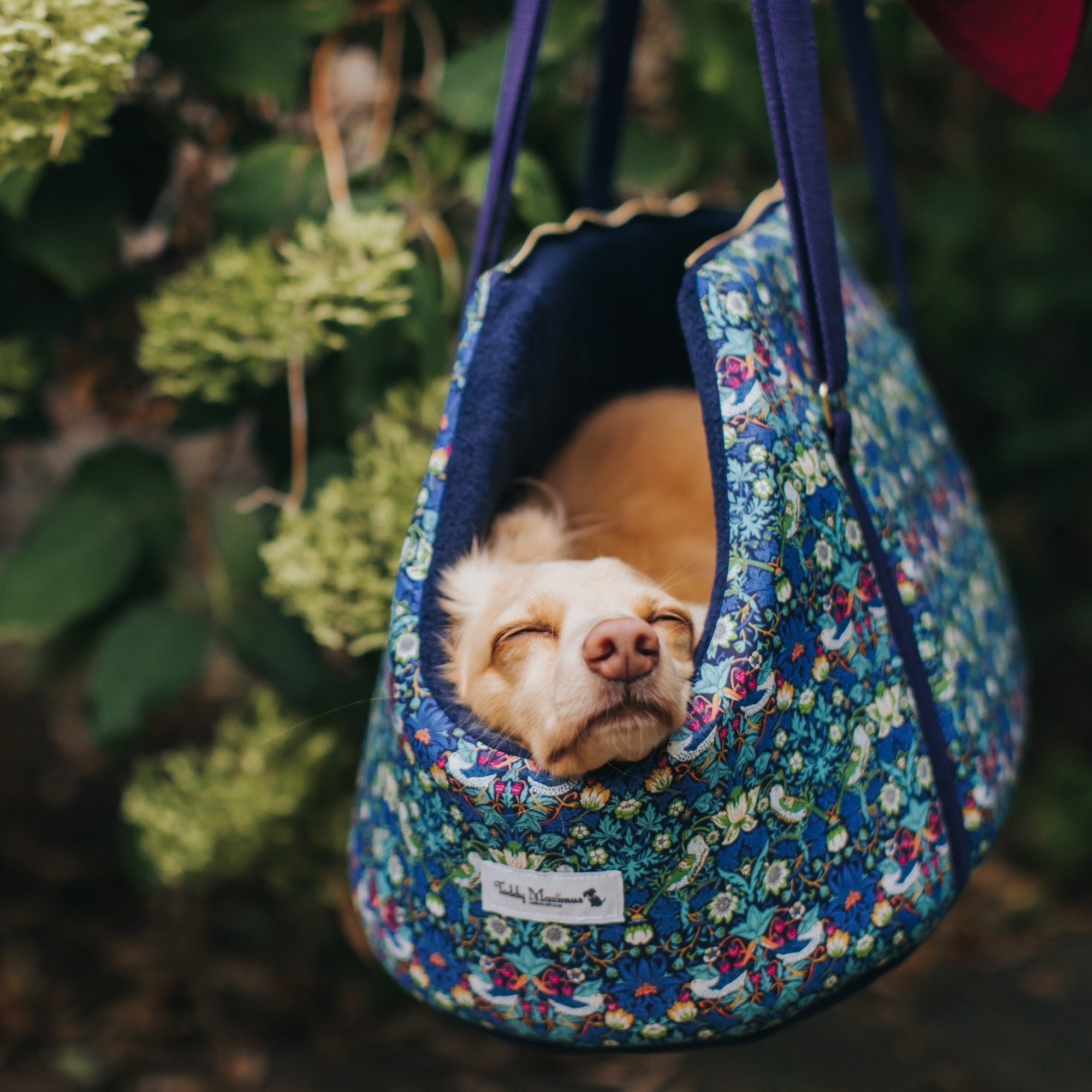 Love Me Luxury Dog Carrier – Pomiez.world Shop