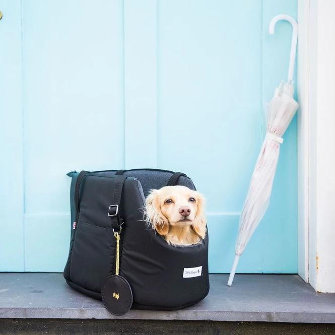 'The Adventurer' Waterproof Adjustable Luxury Dog Carrier