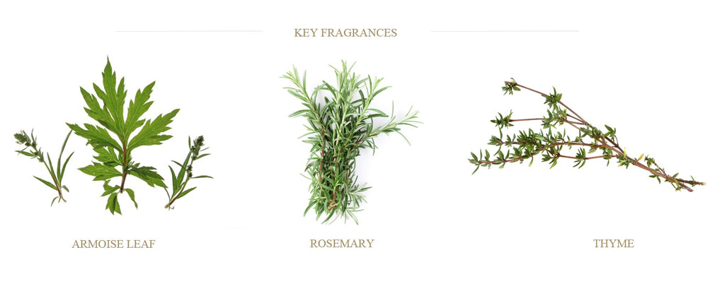 rosemary-thyme-fougere-armoise-candles