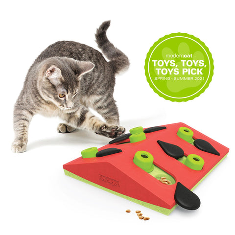 Puzzle Toys for Cats