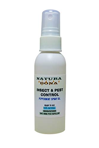 Peppermint Spray Oil for Roaches, Rodents, Mice, Spiders, Ants and Man –  PERFUME STUDIO