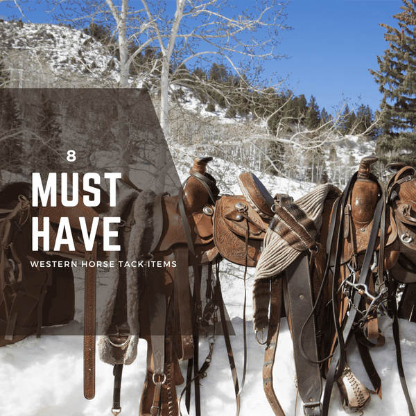 Western Saddles On Fence In Snow Covered Field