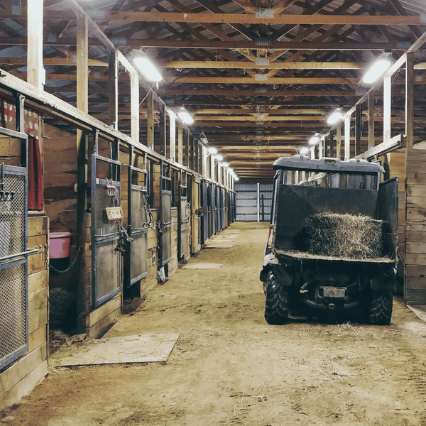 horse stable for boarding horses