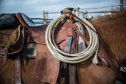 Western Roping Saddle On Horseback