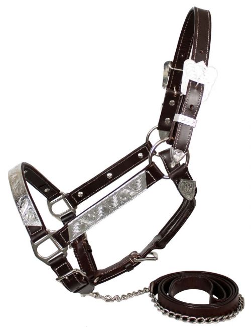 Light Oil Leather & Silver Bars Show Halter and Lead Shank