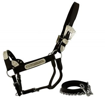 Western Show Halter Silver Gold Bar Horse Size Dark Oil Regular Quality  Leather