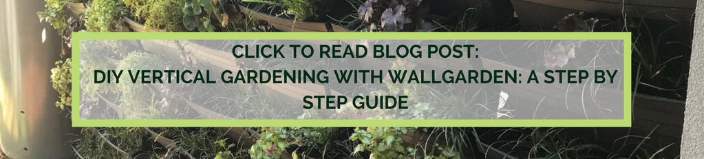 Vertical garden blog a step by step guide to building your own green wall