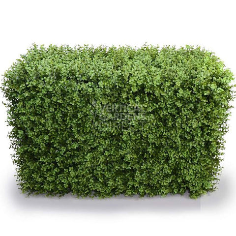 Artificial Natural Buxus Freestanding Hedge 1m x 55cm x 30cm UV Stabilised-Artificial Hedge-Vertical Gardens Direct