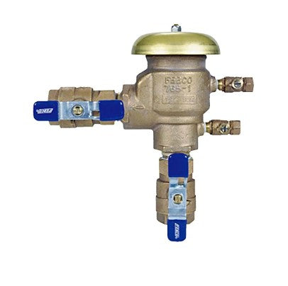  Pressure Vacuum Breaker and a Reduced Pressure Zone