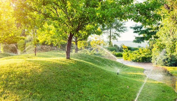 Tackling Common Irrigation