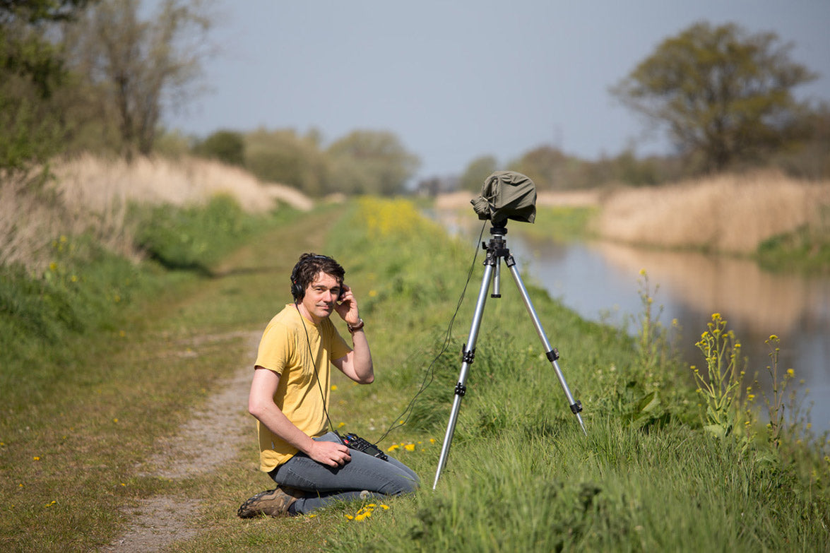 Silverstick The Nightingales of Shapwick Heath