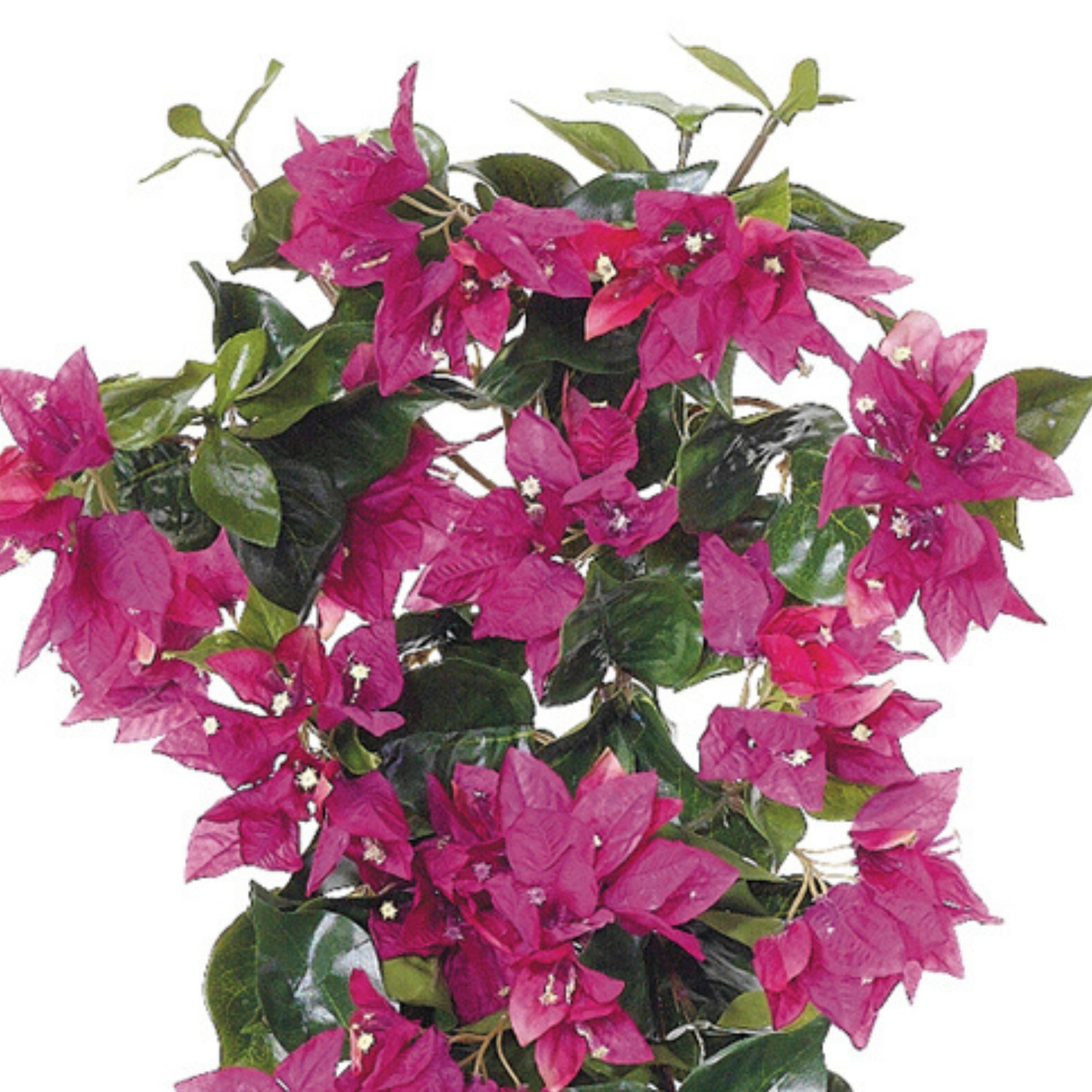 Artificial 24-inch Bougainvillea Trailing Bush (Set of 6) – House of Silk  Flowers®