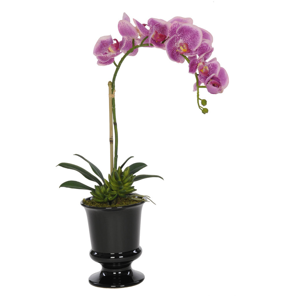 Artificial Phalaenopsis Orchid in Black Ceramic Urn ...