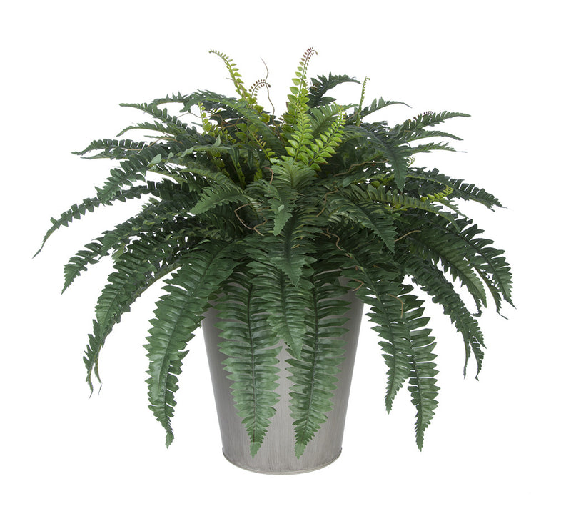 Artificial Fern In Round Zinc Planter House Of Silk Flowers