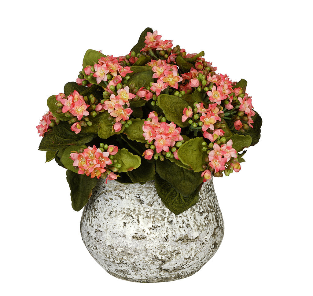 Artificial Kalanchoe in Distressed Cement Vase – House of Silk Flowers®
