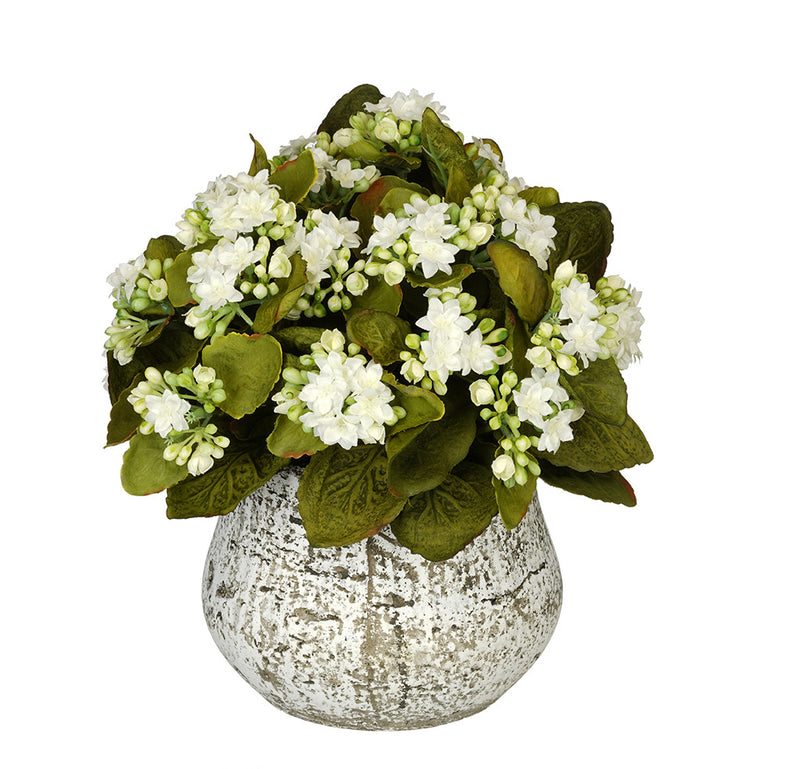 Artificial Kalanchoe in Distressed Cement Vase – House of Silk Flowers®