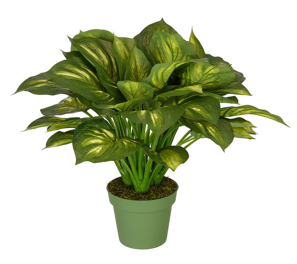 Artificial Large Hosta - House of Silk Flowers®