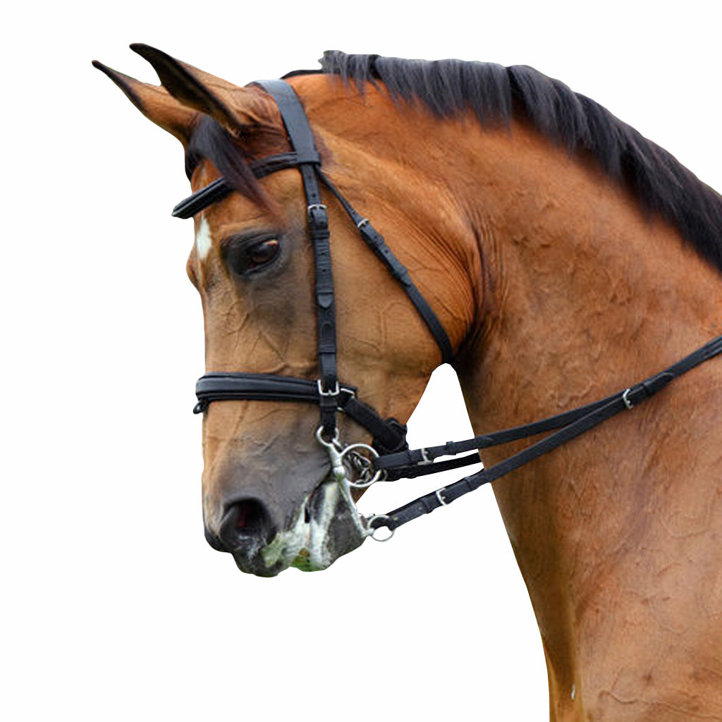 Black Padded Bridle â Saddles World