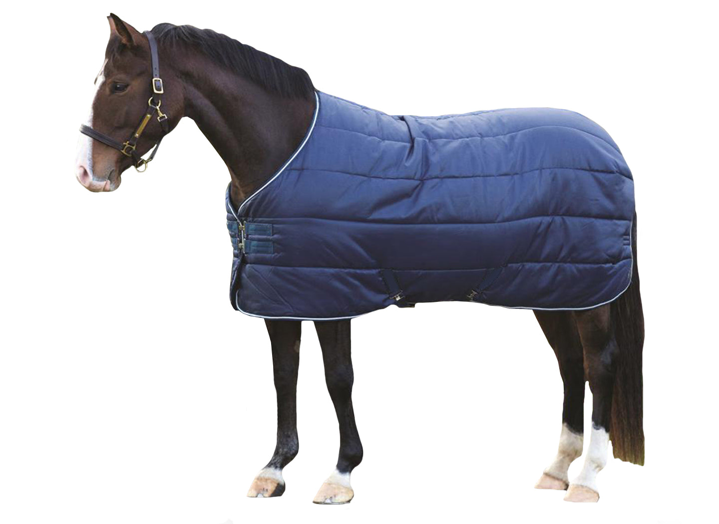 300D Blue Stable Blanket Std Neck 150G – Saddles World